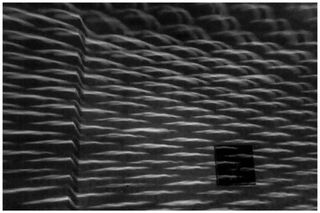 Oldřich Bubák - 08