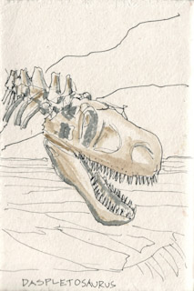 Daspletosaurus